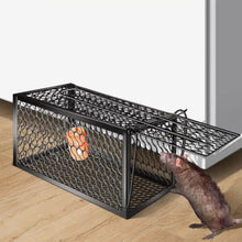 Foldable live animal trap cage.