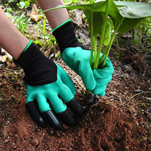 Colourful garden gloves for protection.